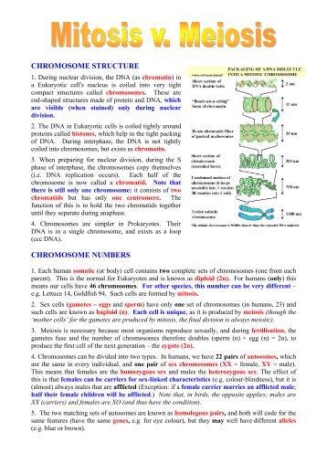 a2 biology glossary A-level biology revision guides and question banks covering applications of genetic engineering, molecules and enzymes, photosynthesis and all core a-level topics. a2 biology glossary A-level biology revision guides and question banks covering applications of genetic engineering, molecules and enzymes, photosynthesis and all core a-level topics.