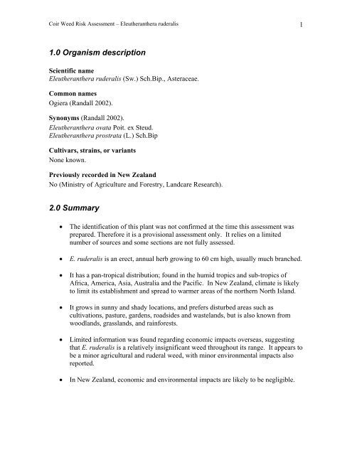Eleutheranthera Ruderalis.pdf - Biosecurity New Zealand