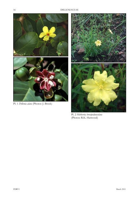 DILLENIACEAE - Department of Land Resource Management ...