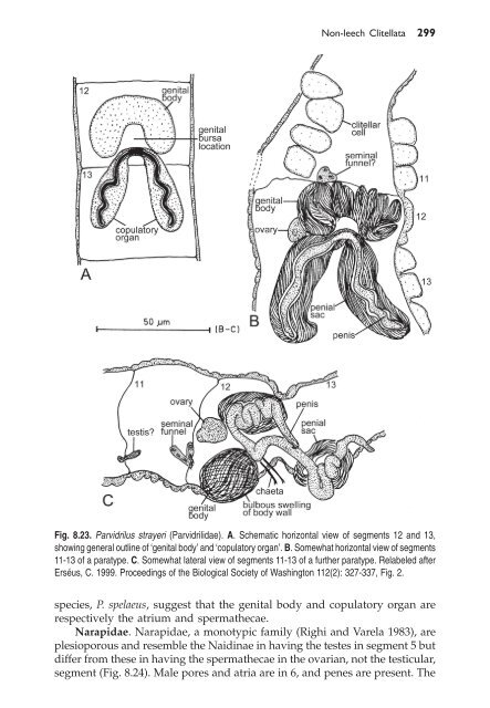 Chapter 8 - BGM Jamieson, ultrastructure, reproductive biology ...