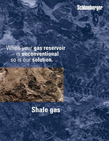 Shale Gas - When your gas reservoir is unconventional - Texas A&M ...