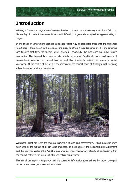 Biodiversity of Wielangta Forest - Wild Wielangta - Edublogs