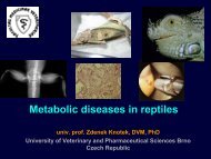 Metabolic diseases - Faculty of Veterinary Medicine