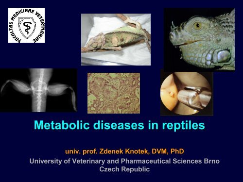 Metabolic diseases - Faculty of Veterinary Medicine