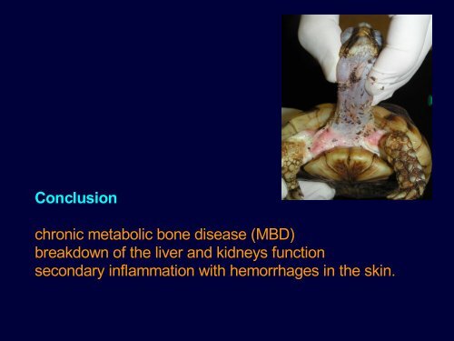 Metabolic diseases - Faculty of Veterinary Medicine