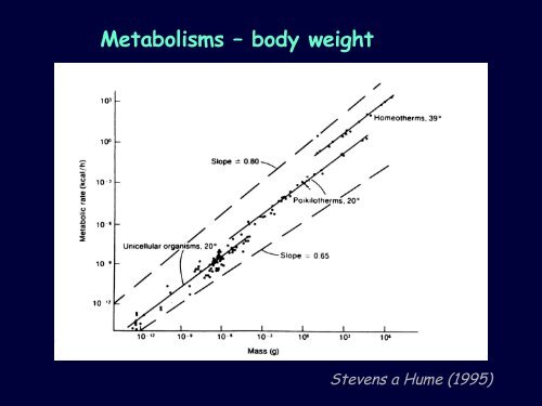 Metabolic diseases - Faculty of Veterinary Medicine