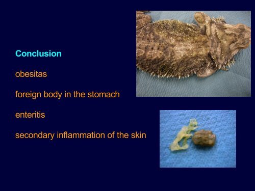 Metabolic diseases - Faculty of Veterinary Medicine