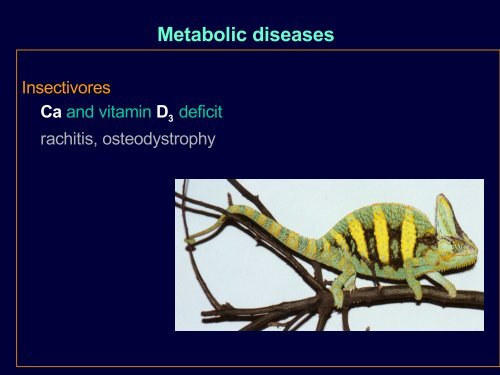 Metabolic diseases - Faculty of Veterinary Medicine