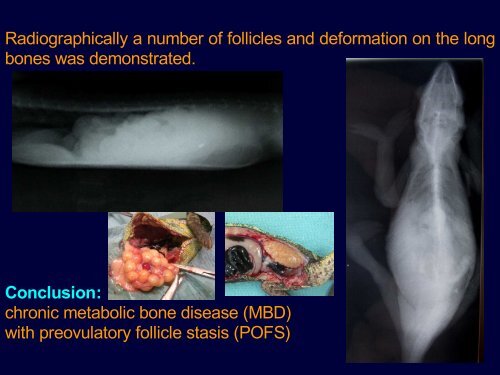 Metabolic diseases - Faculty of Veterinary Medicine