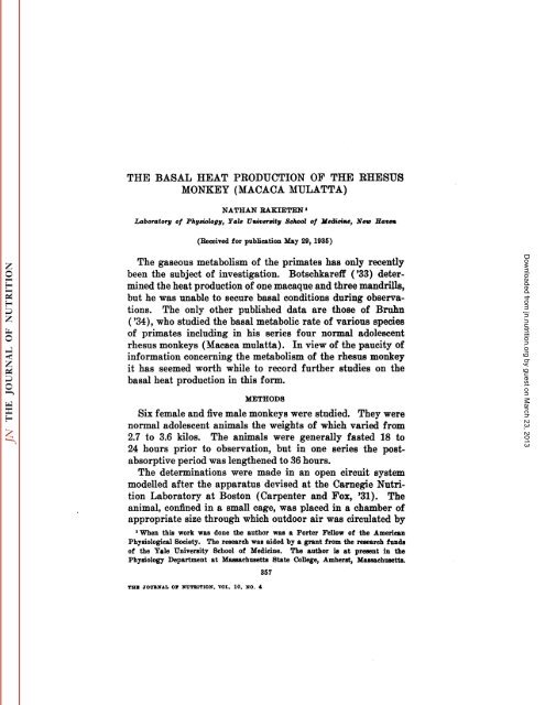 the basal heat production of the rhesus monkey (macaca mulatta)