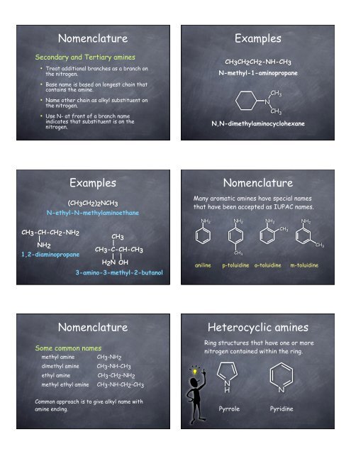 Amines & Amides