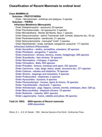 Classification of Recent Mammals to ordinal level - Biology Courses ...