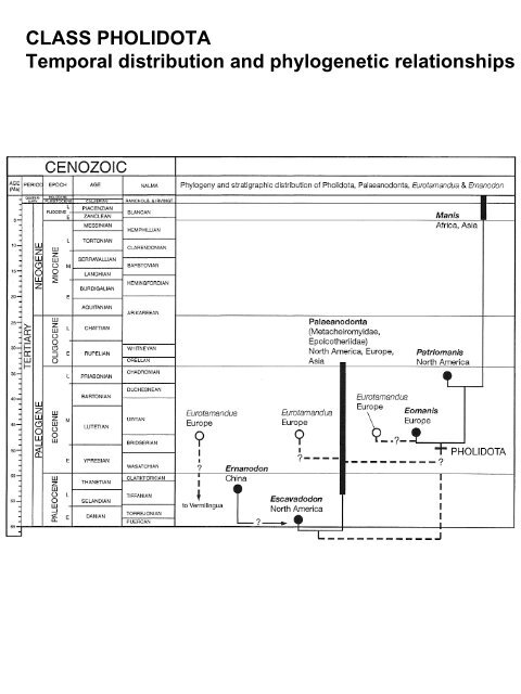 Classification of Recent Mammals to ordinal level - Biology Courses ...