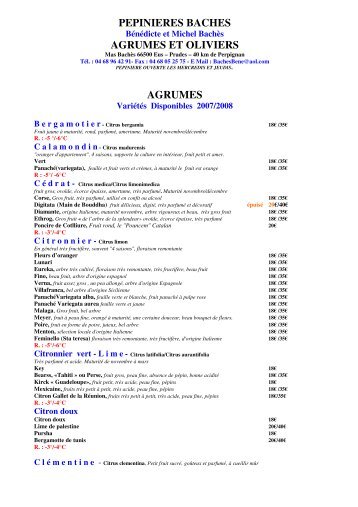 PEPINIERES BACHES AGRUMES ET OLIVIERS AGRUMES