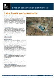 Lake Lewis and surrounds - Department of Natural Resources ...