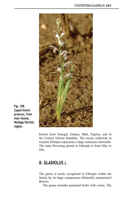 Aloes and Lilies of Ethiopia and Eritrea