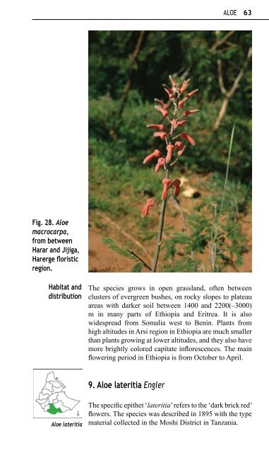 Aloes and Lilies of Ethiopia and Eritrea