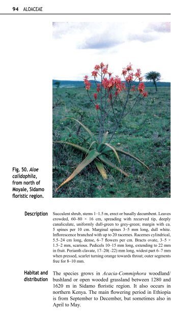 Aloes and Lilies of Ethiopia and Eritrea