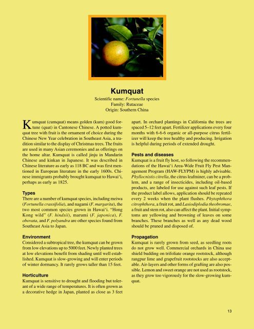 Kumquat (12 Trees) - ctahr