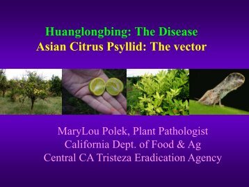 Citrus Showcase: Huanglongbing - The Biology of ... - Glenn County