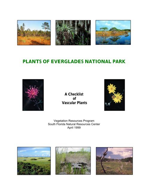 PLANTS OF EVERGLADES NATIONAL PARK - National Park Service