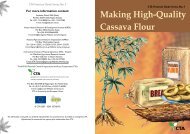 Making High-Quality Cassava Flour - Anancy