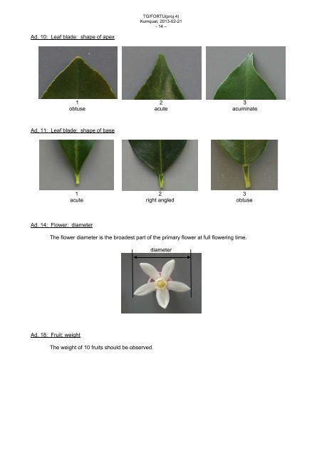 Kumquat - International Union for the Protection of New Varieties of ...