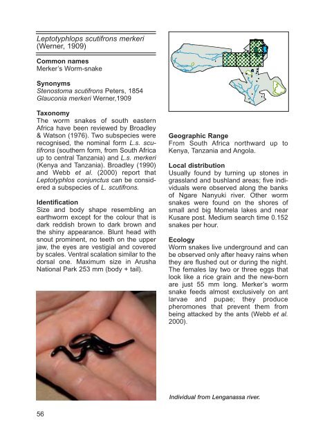 field guide to the amphibians and reptiles of arusha national park