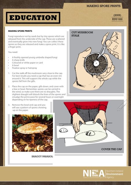 Making Spore Prints (.PDF 660Kb)