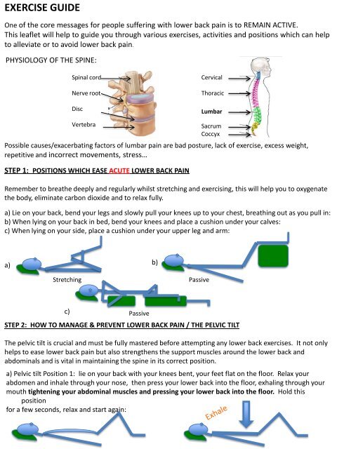 Lower Back Exercise Chart