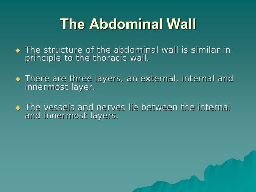 The Abdominal Wall And Hernias