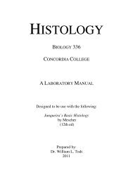 Junqueira's Basic Histology - Concordia College