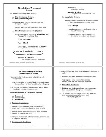 Circulation/Transport The Circulatory System