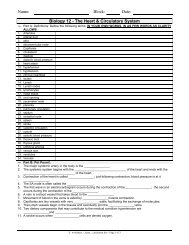 Heart and Circulation Worksheet