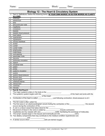 Heart and Circulation Worksheet