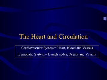 The Heart and Circulation - ECC-BOOK - Extracorporeal Circulation ...