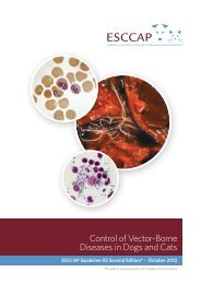 Control of Vector-Borne Diseases in Dogs and Cats - ESCCAP
