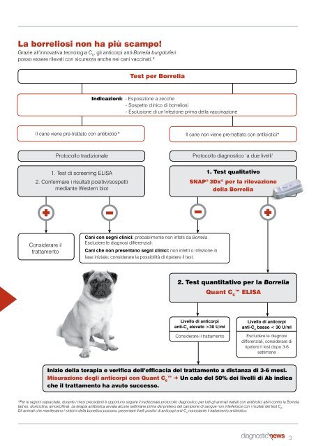 Esame diagnostico per la malattia di Lyme nel cane: - IDEXX ...