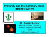 Immunity and the Mammary Gland Defense System (Leitner