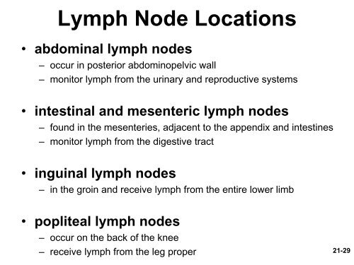 Chapter 21 The Lymphatic System