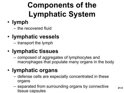 Chapter 21 The Lymphatic System