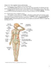 Chapter 22: The Lymphatic System and Immunity