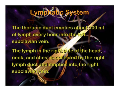 Lymphatic system - Elizabeth Bauer Consults