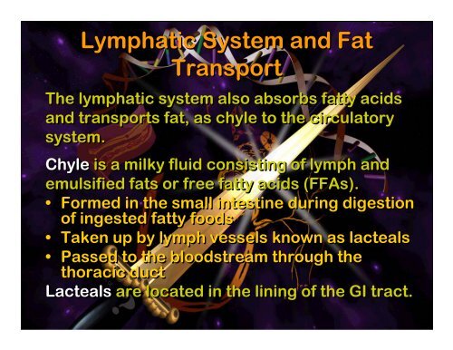 Lymphatic system - Elizabeth Bauer Consults