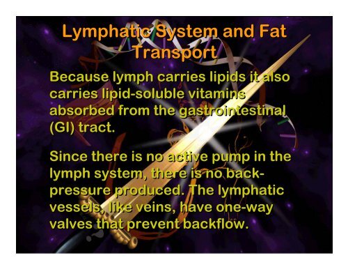 Lymphatic system - Elizabeth Bauer Consults