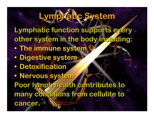 Lymphatic system - Elizabeth Bauer Consults