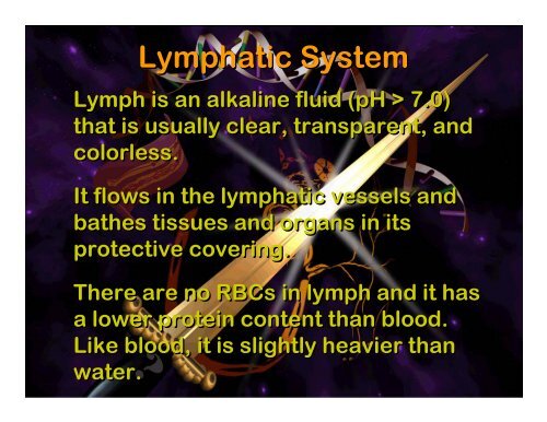 Lymphatic system - Elizabeth Bauer Consults