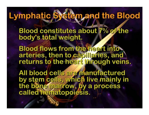 Lymphatic system - Elizabeth Bauer Consults