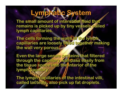 Lymphatic system - Elizabeth Bauer Consults