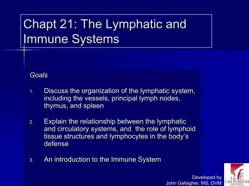 Chapter 21 - Lymphatic and Immune Systems